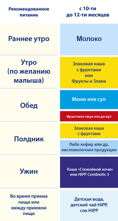 Диета 11 Месячного Ребенка